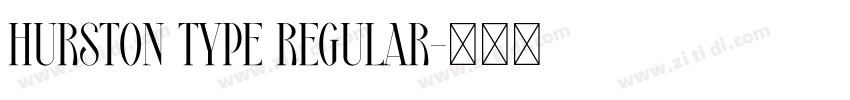HURSTON TYPE Regular字体转换 HURSTON TYPE Regular字体转换